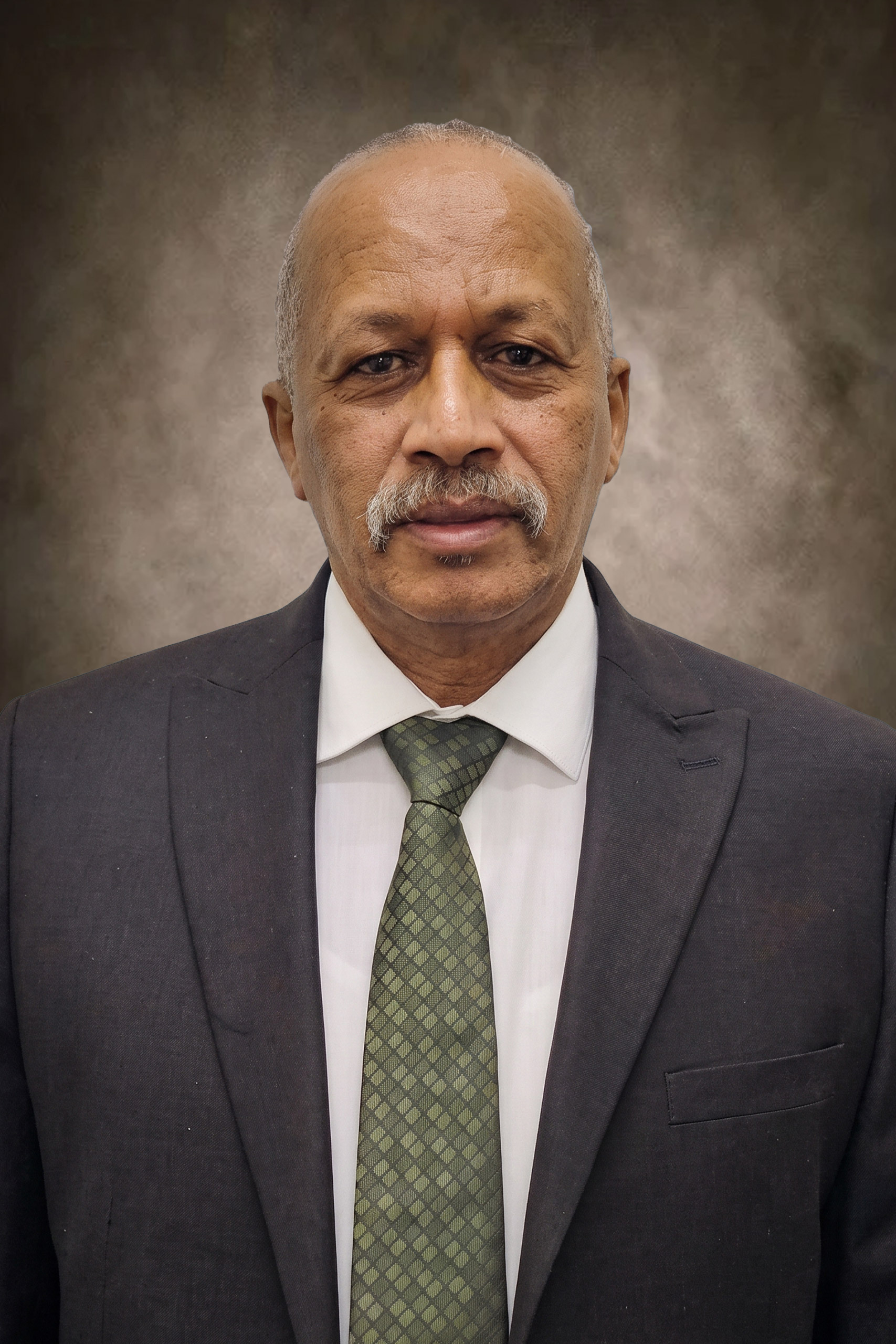 Mr. Mohamed ElSheikh Mohamed Elsennari