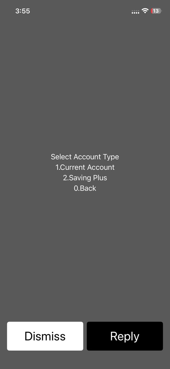 USSD check balance screen