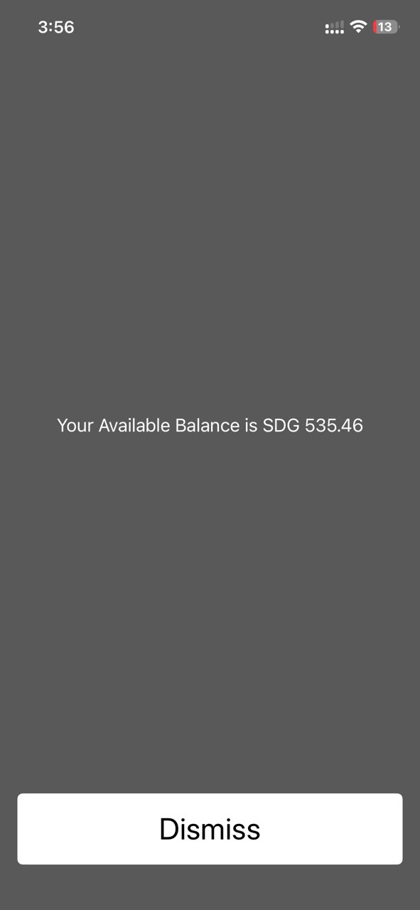 USSD check balance screen