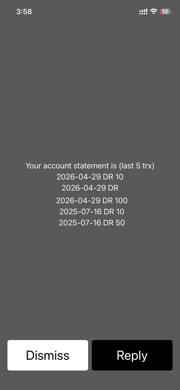 USSD mini statement screen