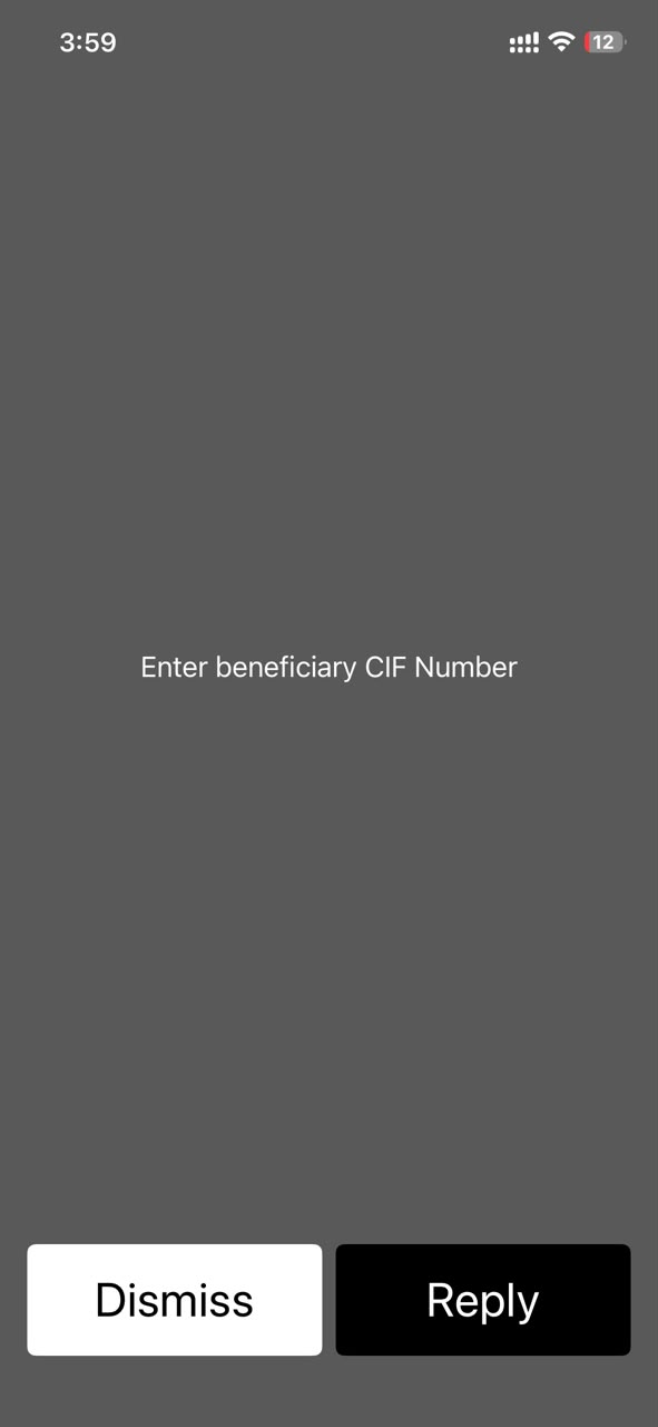 USSD fund transfer screen