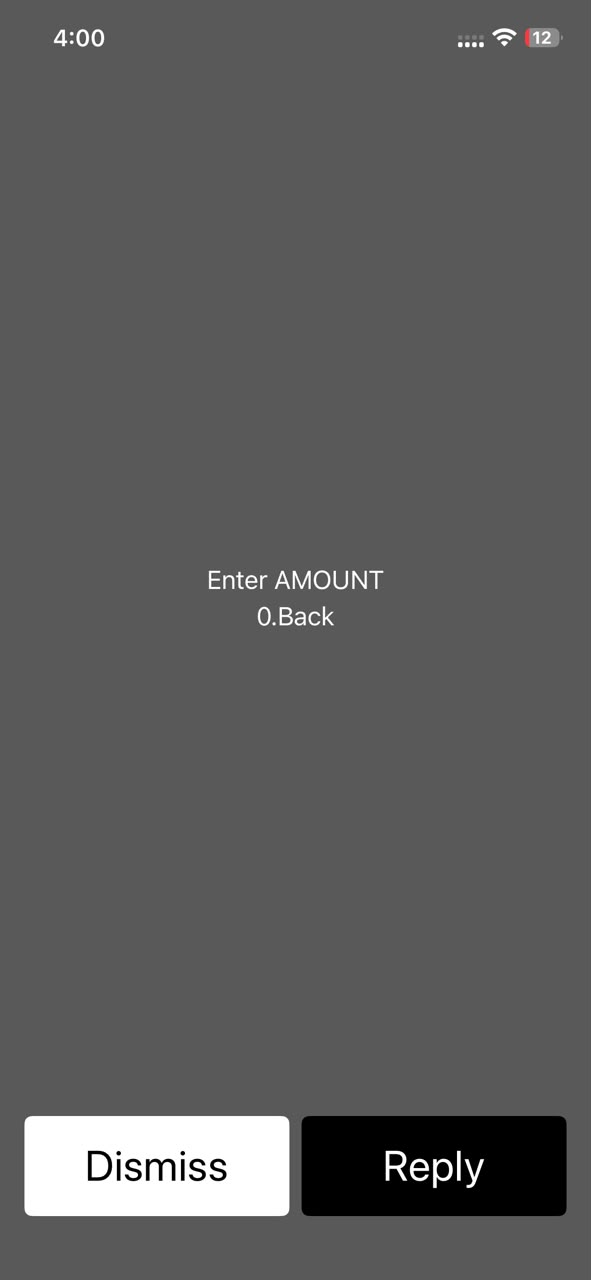 USSD fund transfer screen