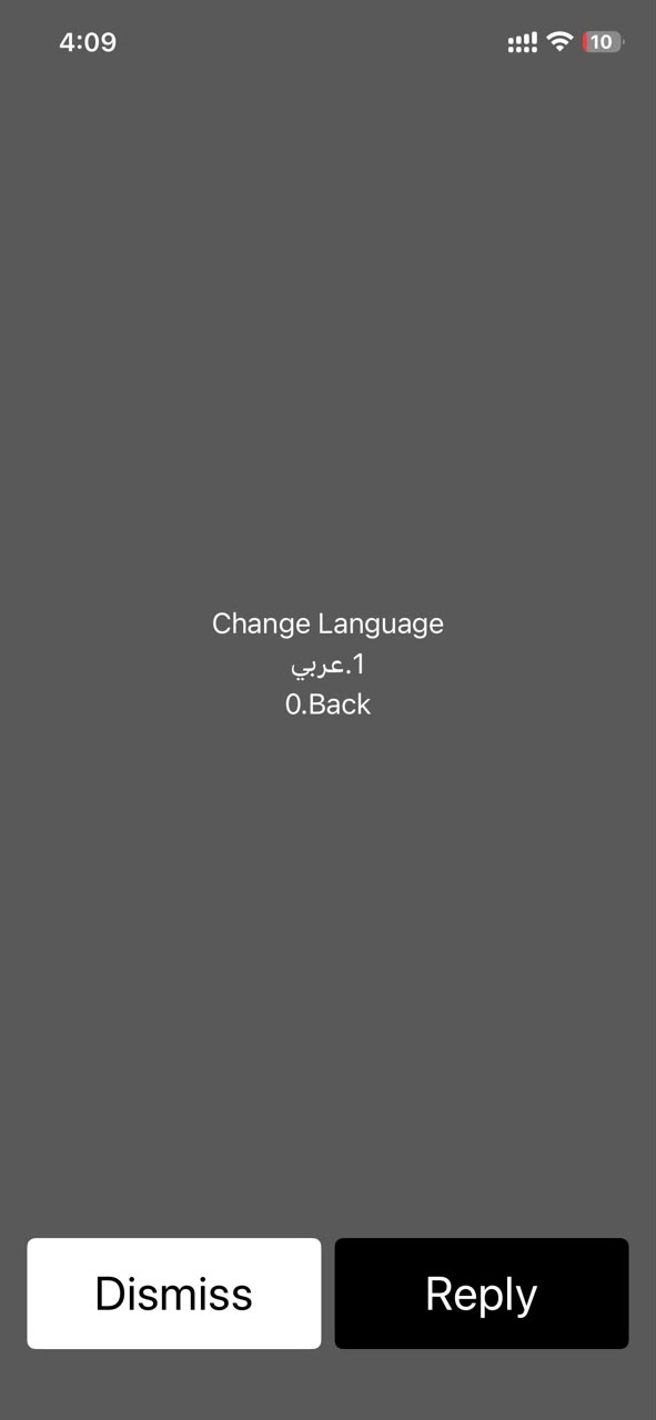 USSD Change Language screen
