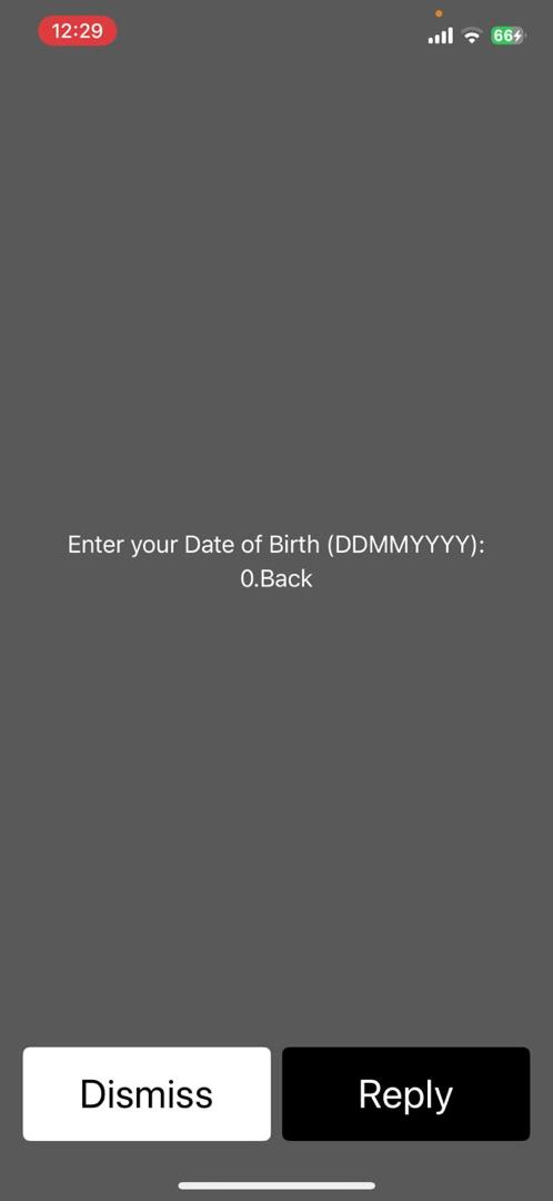 USSD registration screen