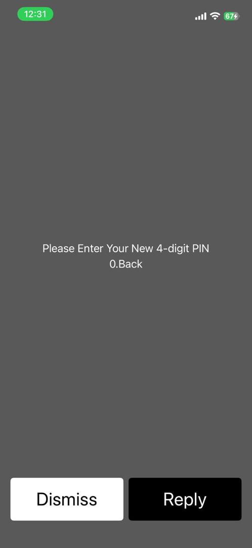USSD registration screen