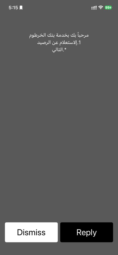 USSD check balance screen